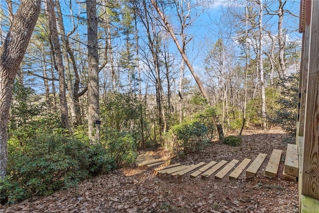 157 Beechwood Dr, Cleveland, GA 30528 - view of yard