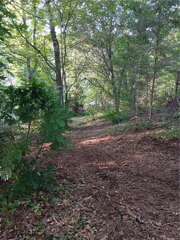 2218 Etowah River Rd, Dawsonville, GA 30534 - view of wooded area