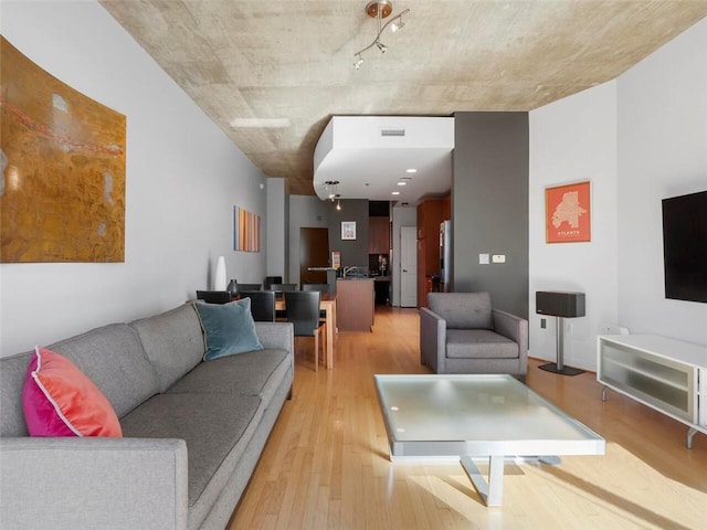 living room featuring hardwood / wood-style flooring