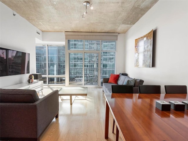 living room featuring track lighting, light hardwood / wood-style floors, and a wall of windows