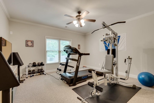 workout room with carpet flooring, ceiling fan, ornamental molding, and baseboards