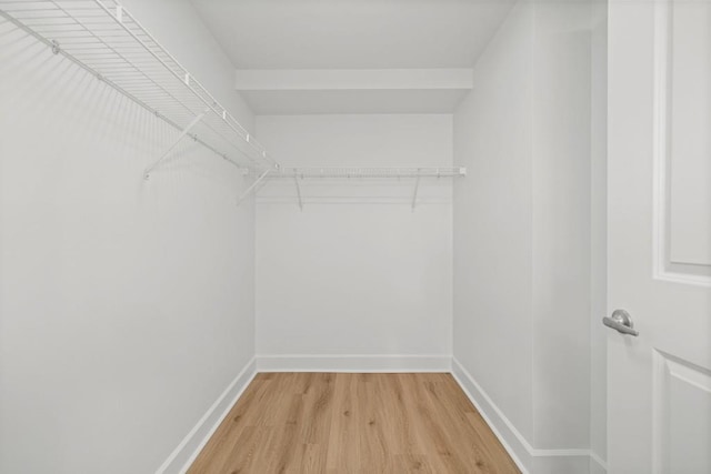 walk in closet featuring light wood-style flooring