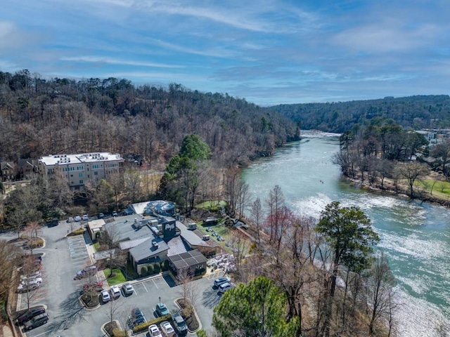 bird's eye view with a forest view and a water view