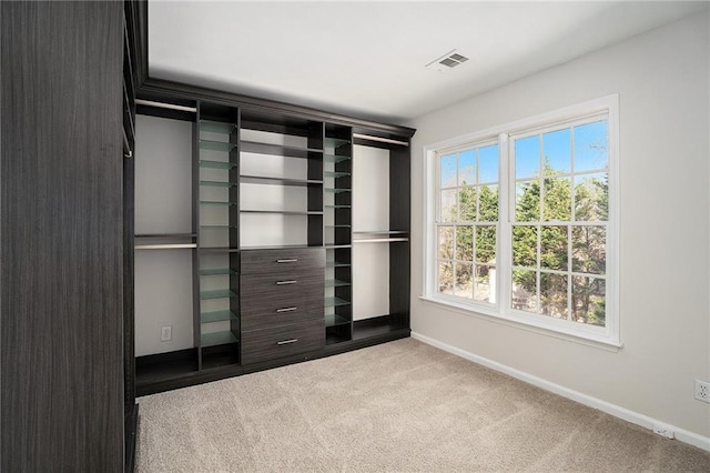10950 Glenhurst, Duluth, GA 30097 - view of closet