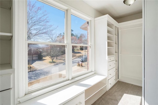 10950 Glenhurst, Duluth, GA 30097 - walk in closet with carpet floors
