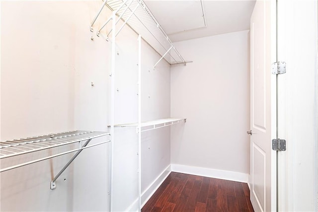 walk in closet featuring dark wood-style floors
