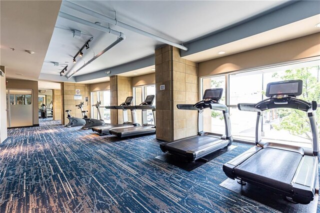 exercise room with carpet flooring, rail lighting, and healthy amount of natural light