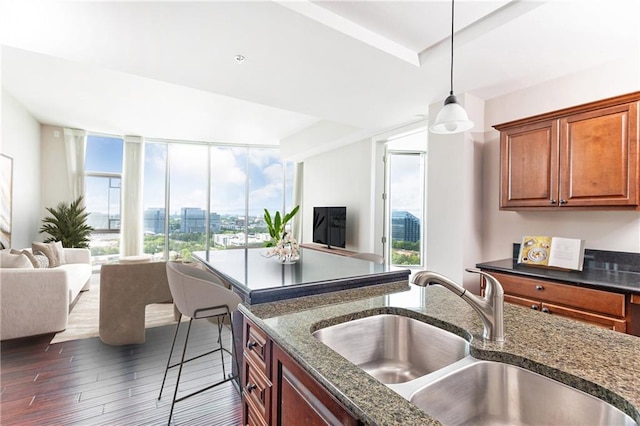 kitchen featuring open floor plan, a sink, and healthy amount of natural light