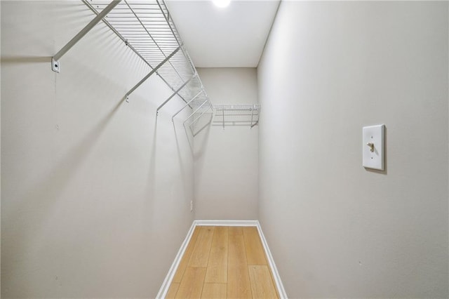 walk in closet featuring wood-type flooring