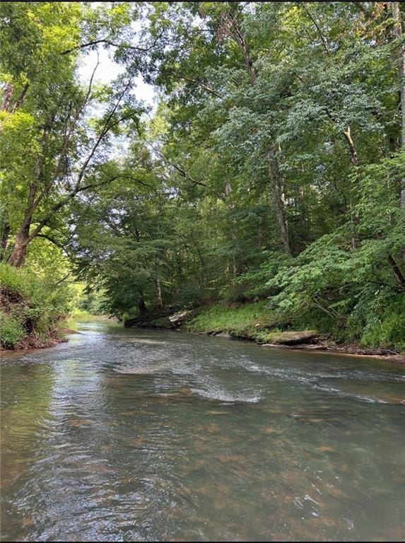 water view with a wooded view