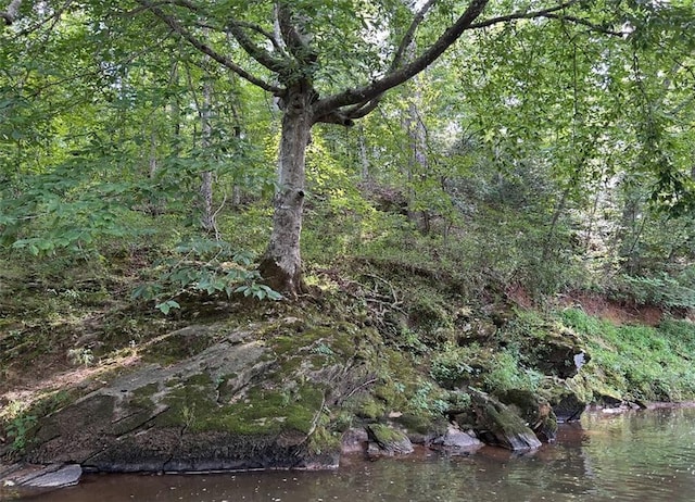 view of local wilderness with a view of trees