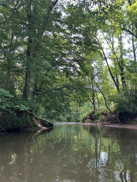water view featuring a view of trees