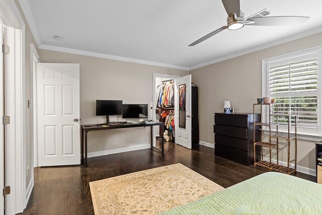 bedroom featuring a desk, wood finished floors, crown molding, baseboards, and a walk in closet