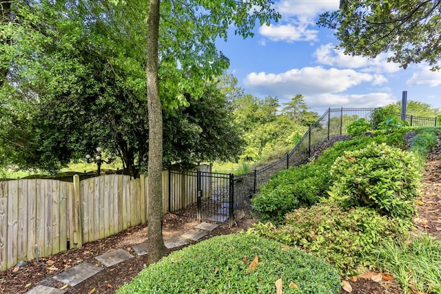 fenced yard featuring a gate