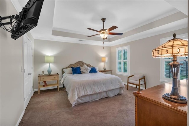 544 Pine Way, Dallas, GA 30157 - bedroom with a tray ceiling, carpet flooring, ornamental molding, and baseboards