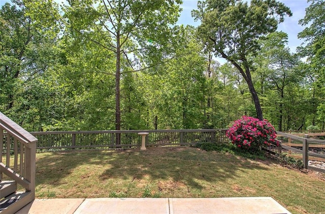 544 Pine Way, Dallas, GA 30157 - view of yard