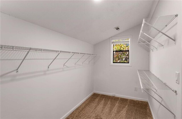 spacious closet with carpet flooring and vaulted ceiling