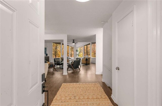 hallway with dark hardwood / wood-style floors