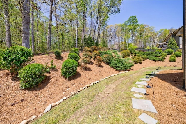 view of yard