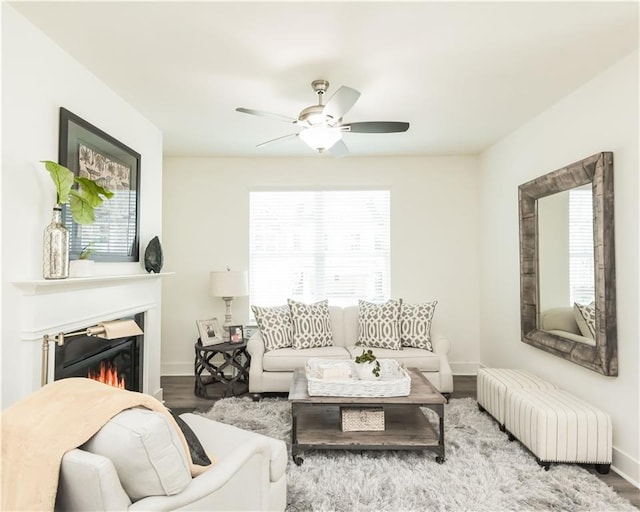 living area featuring a wealth of natural light, radiator, a glass covered fireplace, and wood finished floors