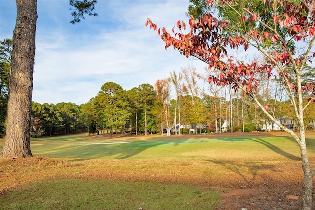 view of community featuring a lawn