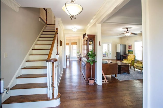 foyer with dark wood-type flooring, ceiling fan, and ornamental molding