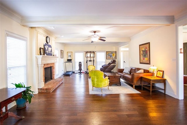 living room with ceiling fan, dark hardwood / wood-style flooring, a wealth of natural light, and ornamental molding