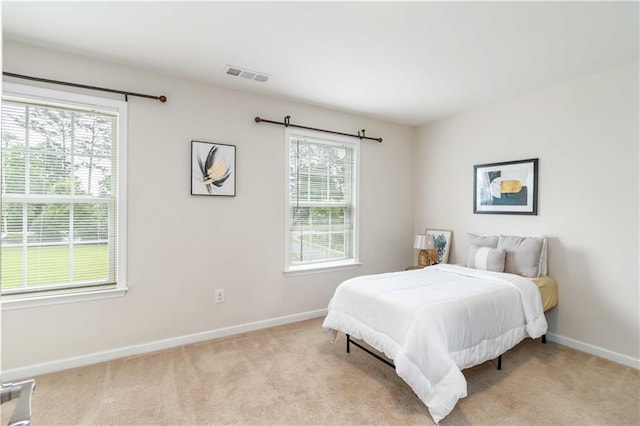 441 Spring View Dr, Woodstock, GA 30188 - bedroom with carpet floors