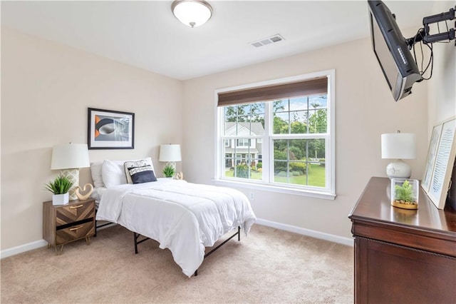 441 Spring View Dr, Woodstock, GA 30188 - bedroom with light carpet and baseboards