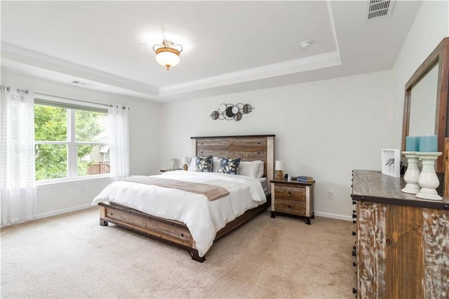 441 Spring View Dr, Woodstock, GA 30188 - bedroom with a raised ceiling, light colored carpet, and crown molding