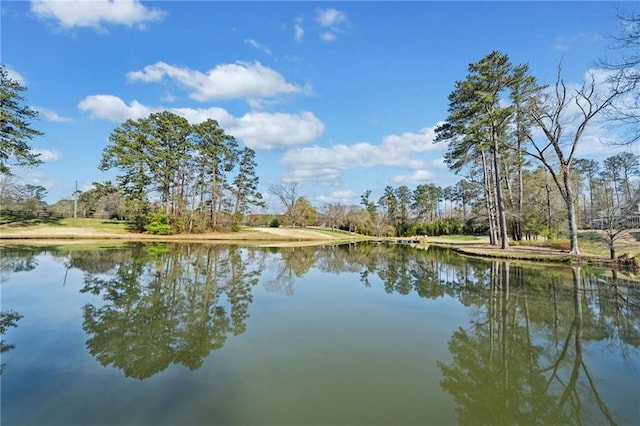 441 Spring View Dr, Woodstock, GA 30188 - water view