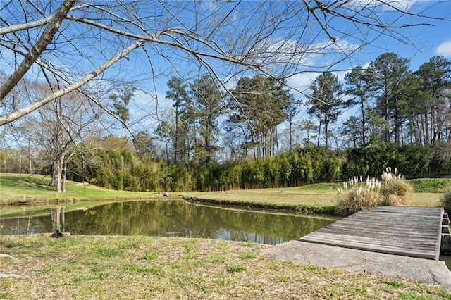 441 Spring View Dr, Woodstock, GA 30188 - water view