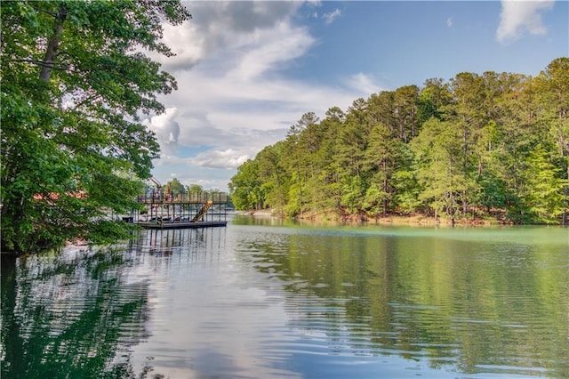 6006 Lanier Heights Cir, Buford, GA 30518 - water view with a heavily wooded area