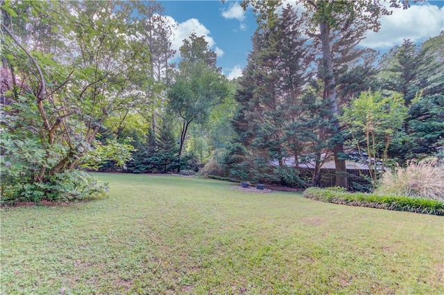 6006 Lanier Heights Cir, Buford, GA 30518 - view of green lawn