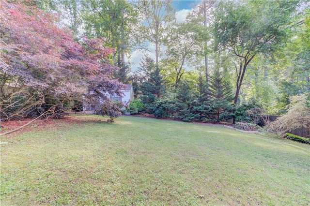 6006 Lanier Heights Cir, Buford, GA 30518 - view of green lawn
