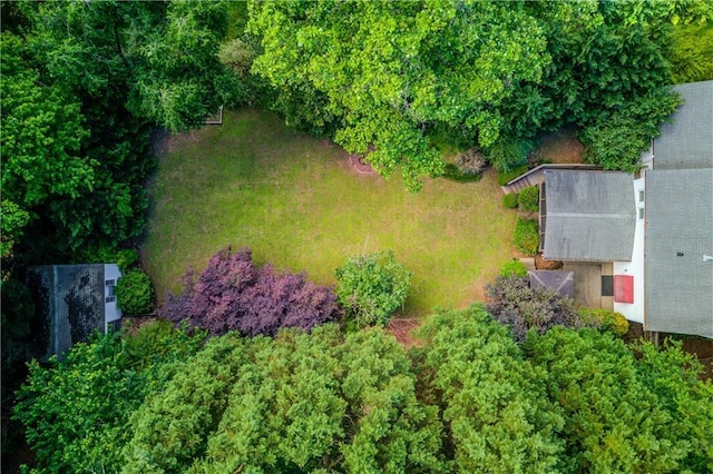 6006 Lanier Heights Cir, Buford, GA 30518 - view of subject property