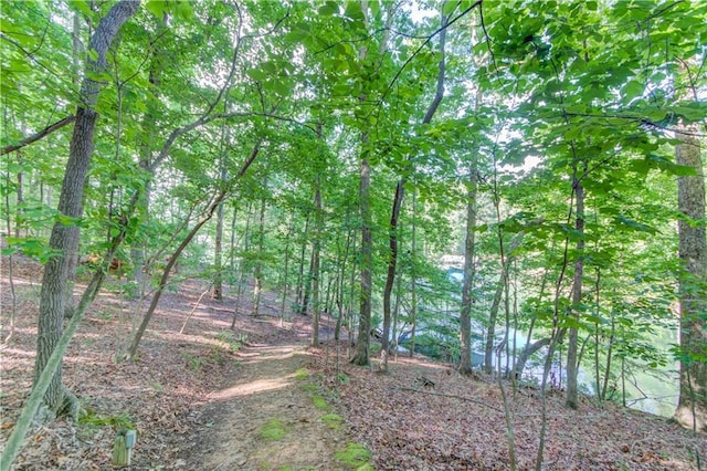 6006 Lanier Heights Cir, Buford, GA 30518 - view of nature