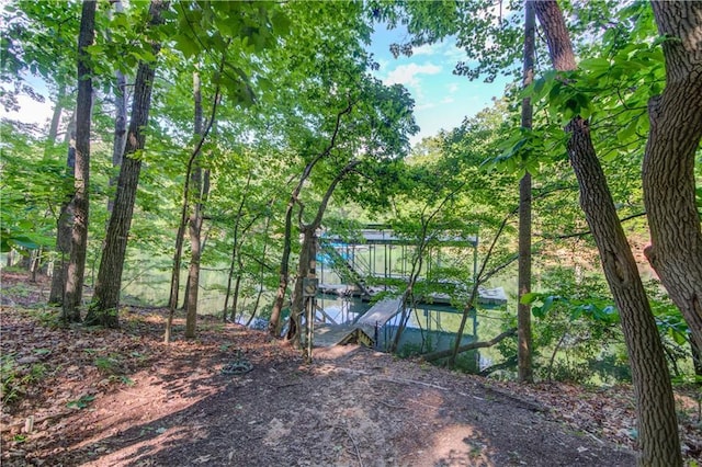 6006 Lanier Heights Cir, Buford, GA 30518 - water view