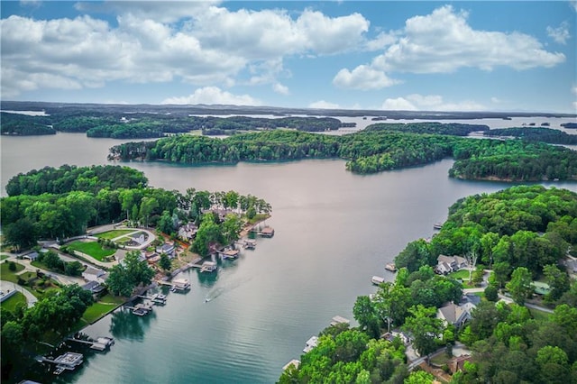 6006 Lanier Heights Cir, Buford, GA 30518 - bird's eye view of a large body of water and a forest