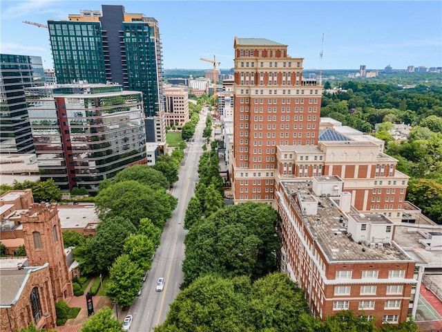 1325 Peachtree St NE Unit 401, Atlanta, GA 30309 - property's view of city