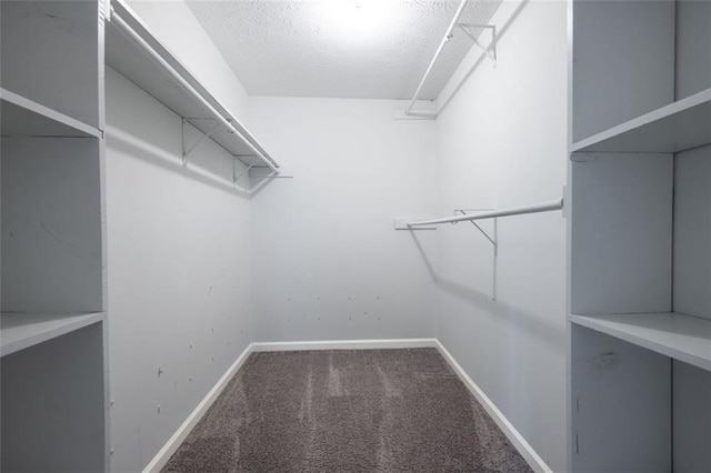 1140 Reading Dr NW, Acworth, GA 30102 - walk in closet featuring carpet floors