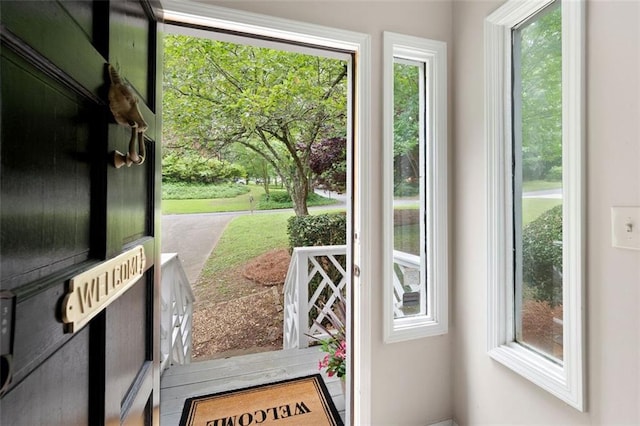 1140 Reading Dr NW, Acworth, GA 30102 - entryway with plenty of natural light