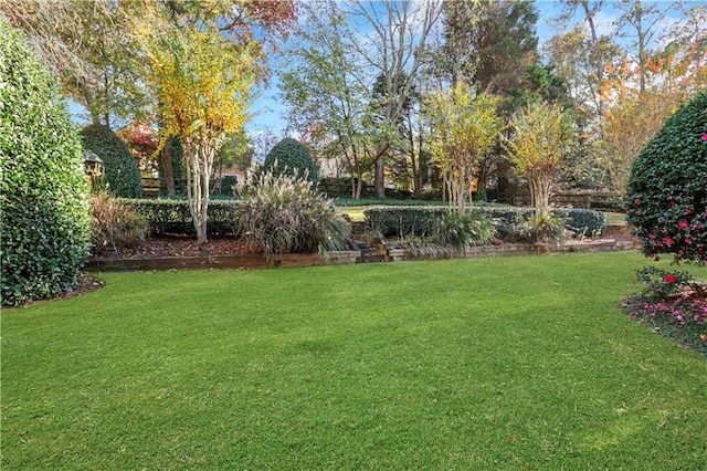 1215 Wynridge Xing, Alpharetta, GA 30005 - view of green lawn