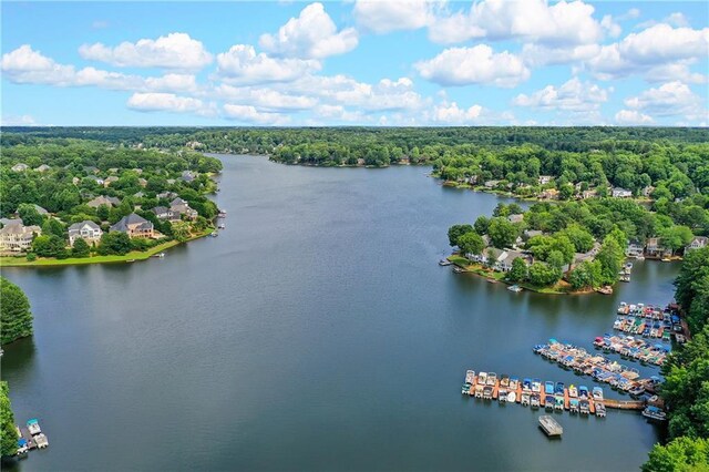 1215 Wynridge Xing, Alpharetta, GA 30005 - aerial view of a large body of water and a forest