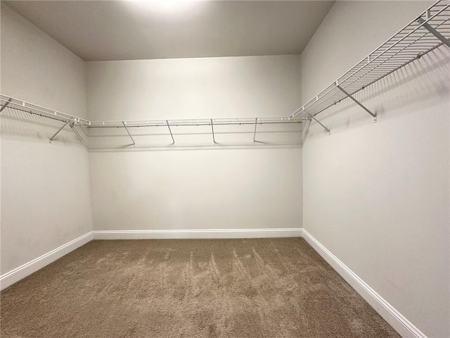 walk in closet featuring carpet