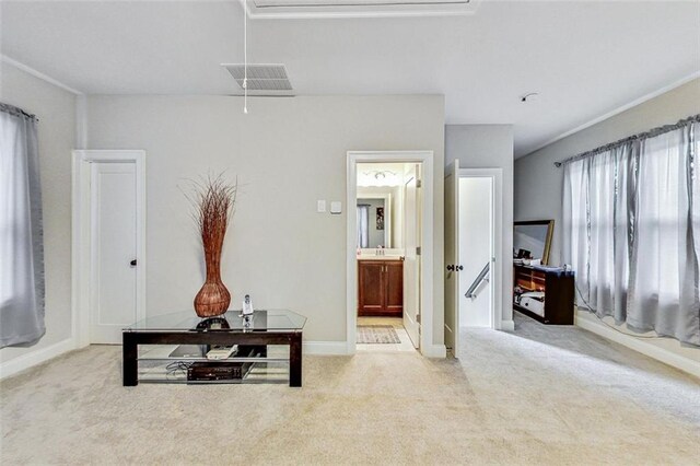 sitting room with light carpet and sink