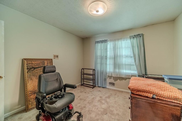 interior space with baseboards, a textured ceiling, and light colored carpet