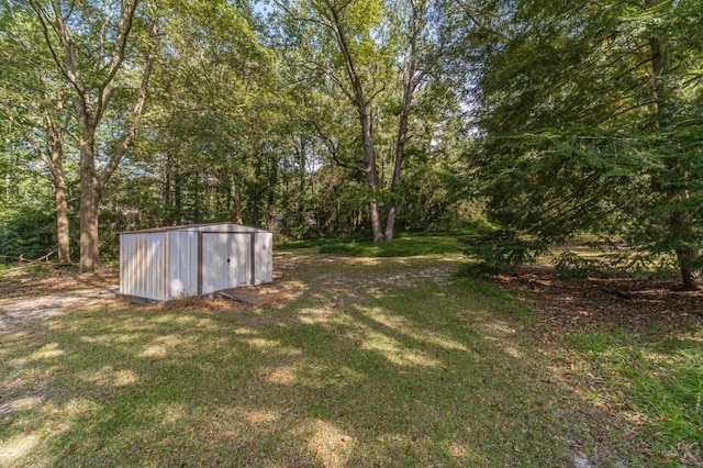 view of yard with an outbuilding and a storage unit