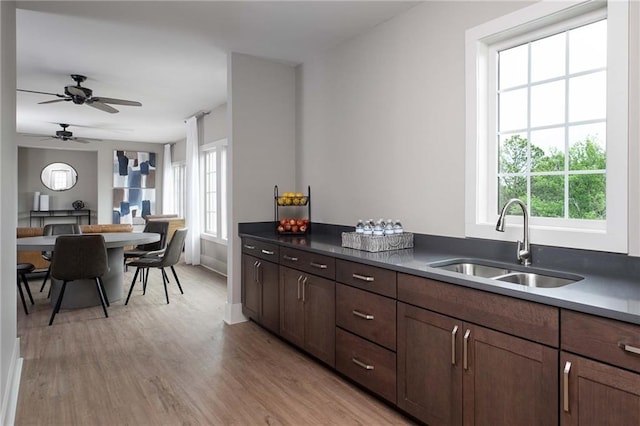 kitchen with ceiling fan, light wood-type flooring, sink, and a wealth of natural light