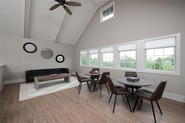 dining space with light hardwood / wood-style flooring and a healthy amount of sunlight